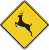 Deer Crossing