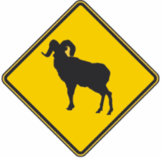 Bighorn Crossing Warning