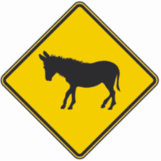 Donkey Crossing