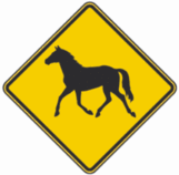 Horse Crossing