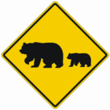 Migrating Bears Crossing