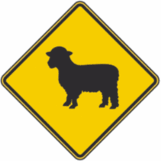 Sheep Crossing