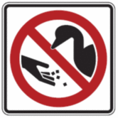 Do Not Feed Ducks
